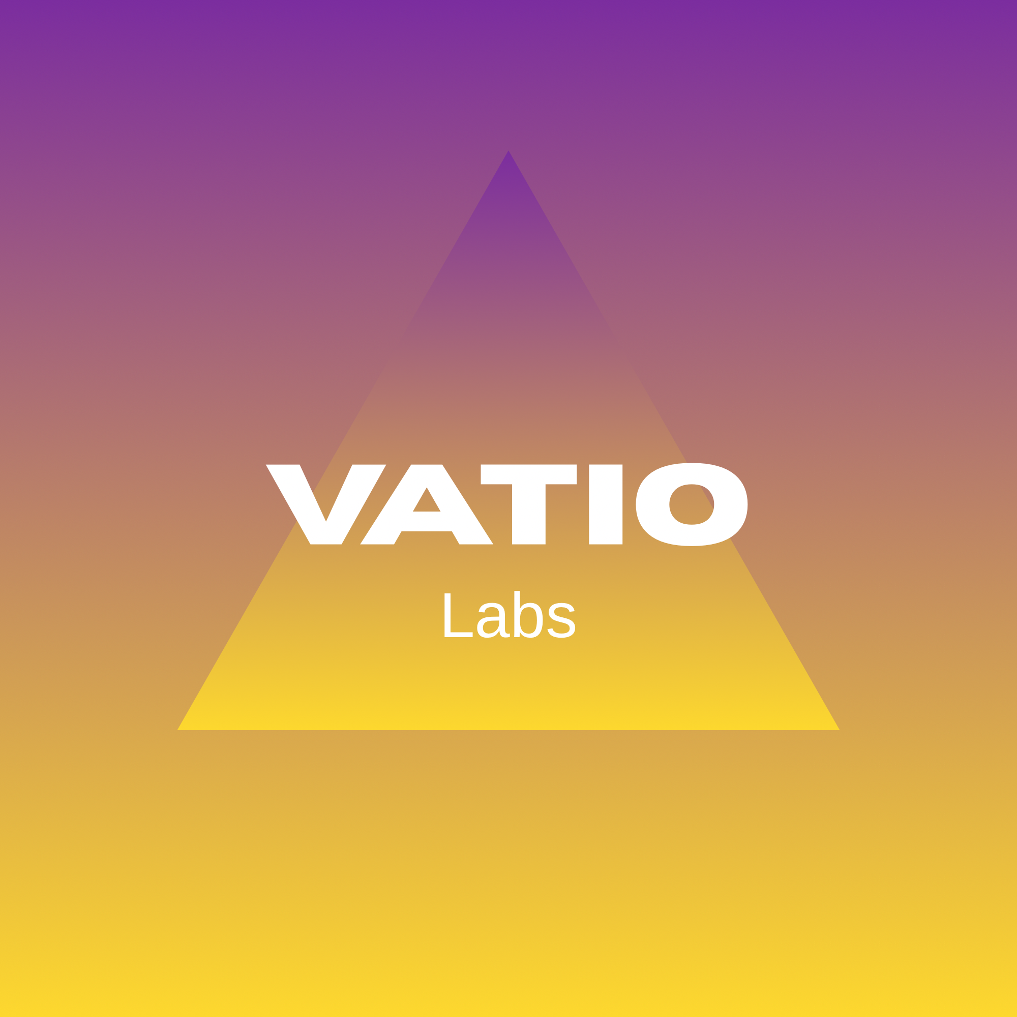 Vatio Labs Bug Report Format