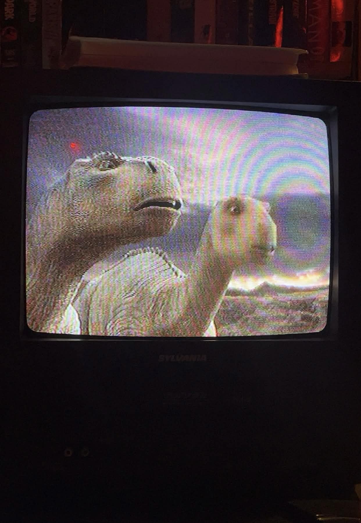 VHS Collection Showcase & Duplicates for Sale - Image 6