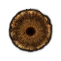 Elden Ring Rune Calculator
