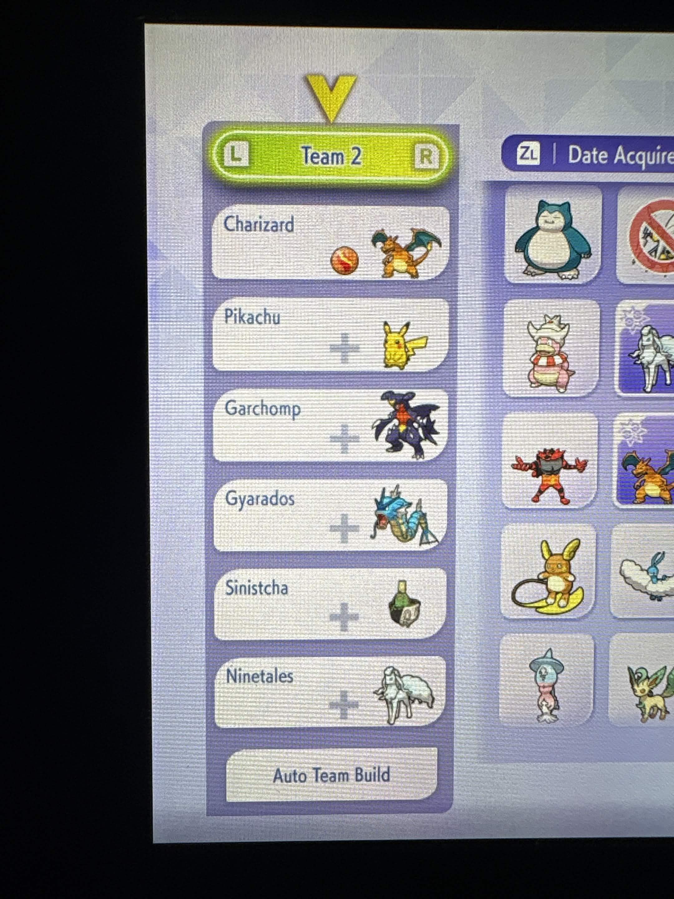 Pikachu Doubles Team Help & Tips