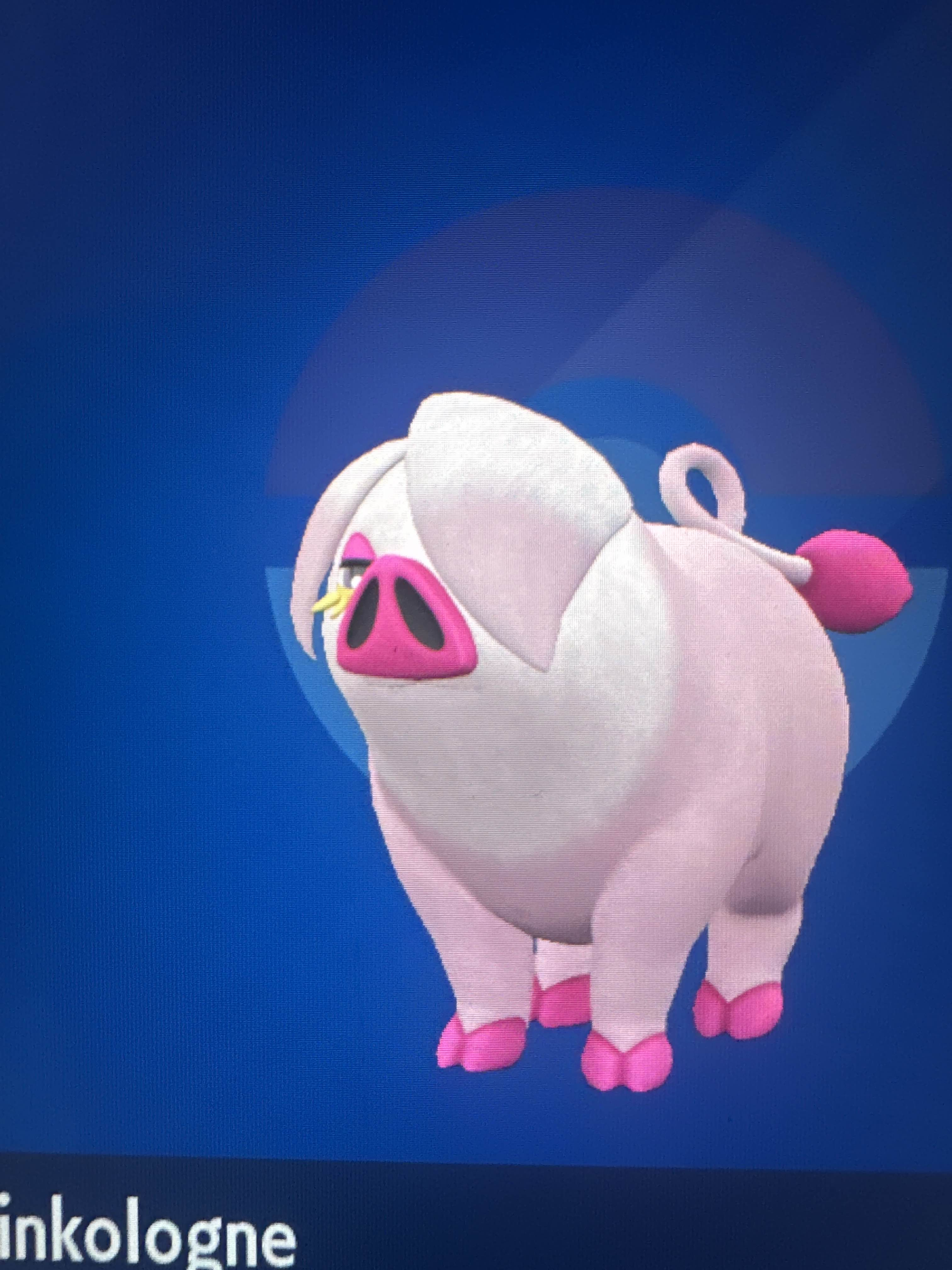 Trade Rare Shiny Pokémon | Pokémon Champions Server