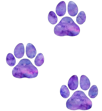 Left Paw
