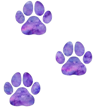 Right Paw