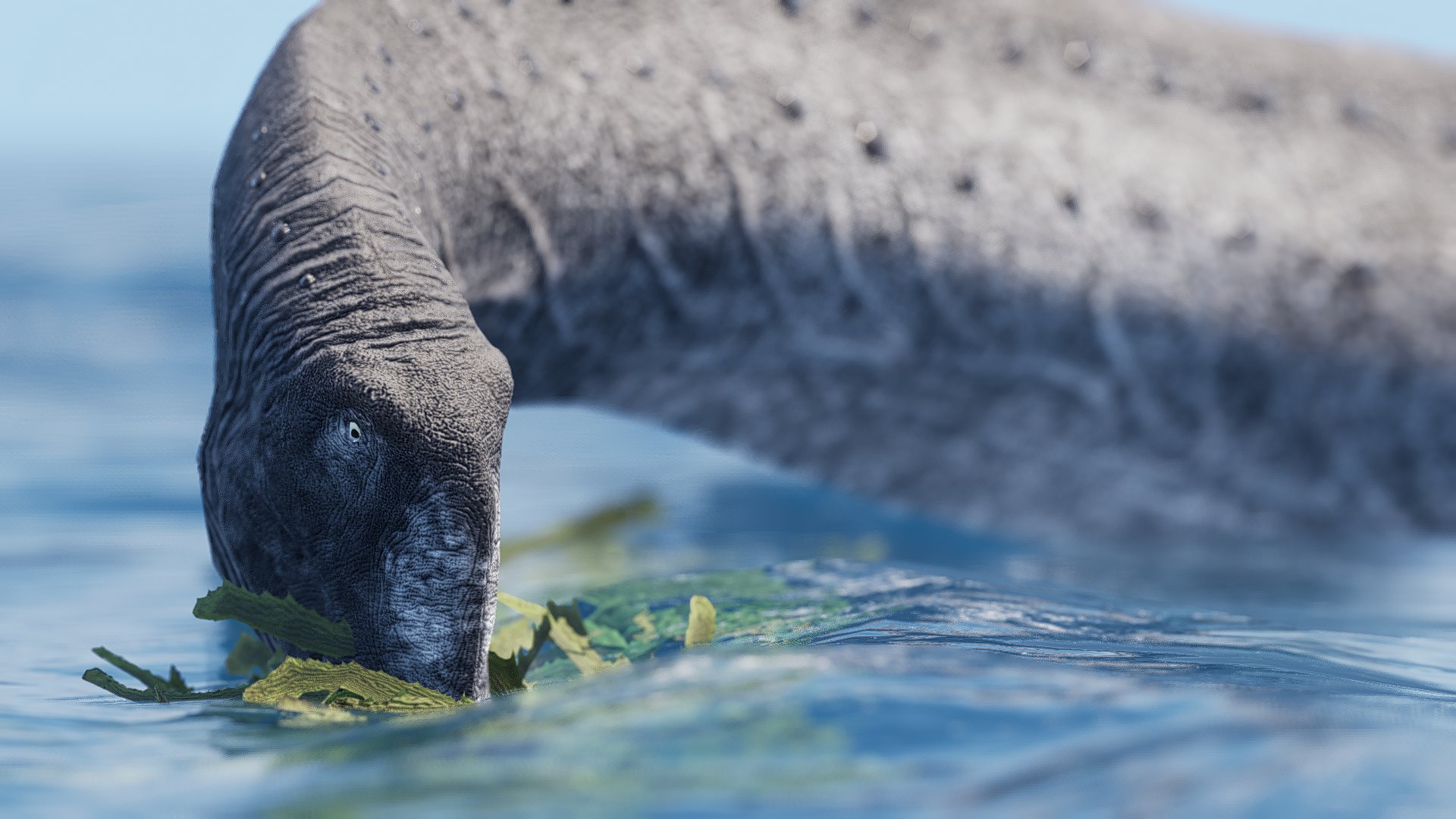 Oceanic Feeding