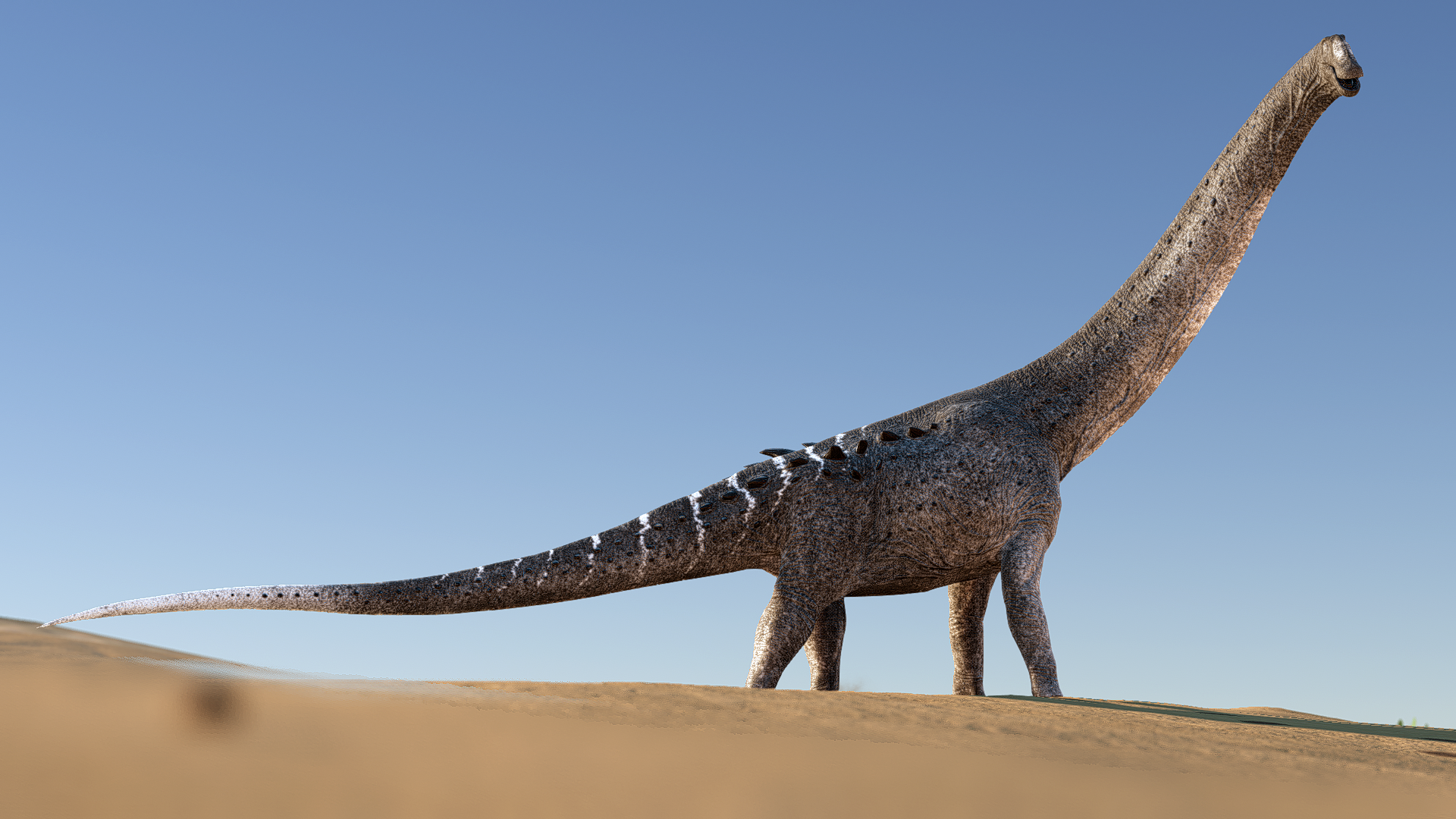 Sandy Nomad