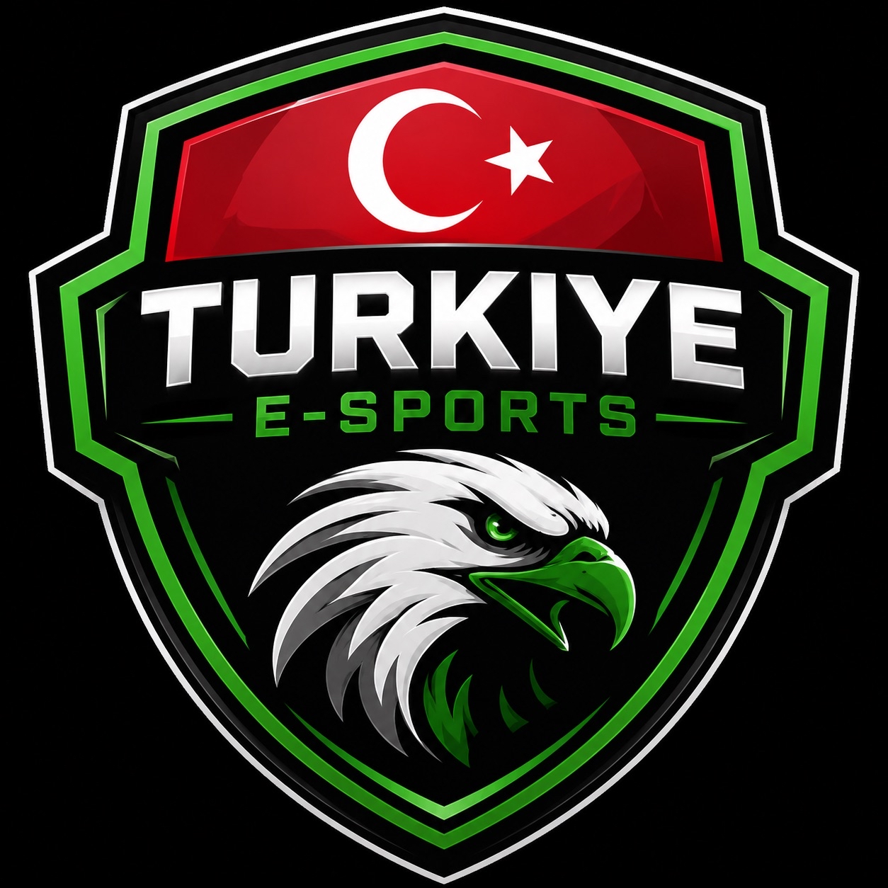 Turkiye Esports