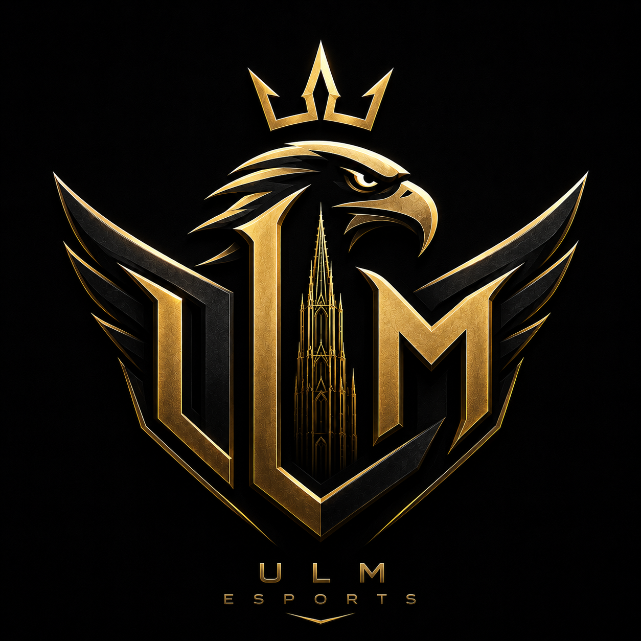 Ulm Esports