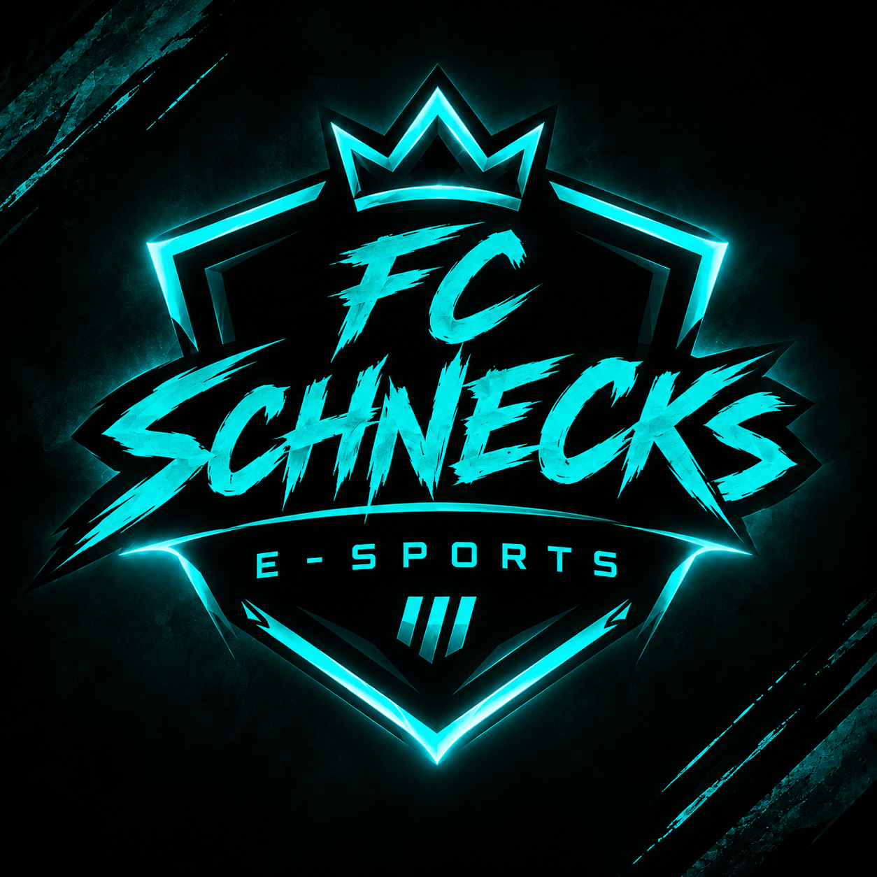 Schecks FC