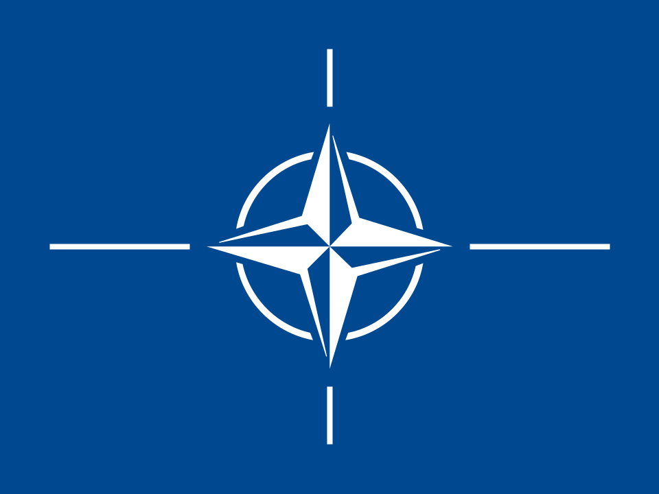 Free flags (saving flags) - Image 3