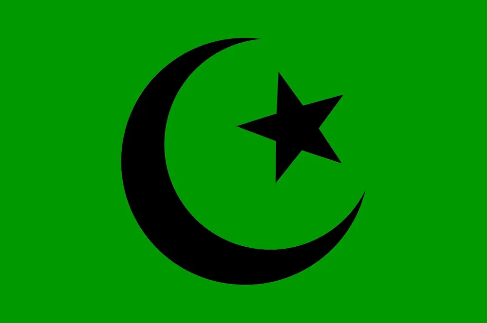 Free flags (saving flags) - Image 2