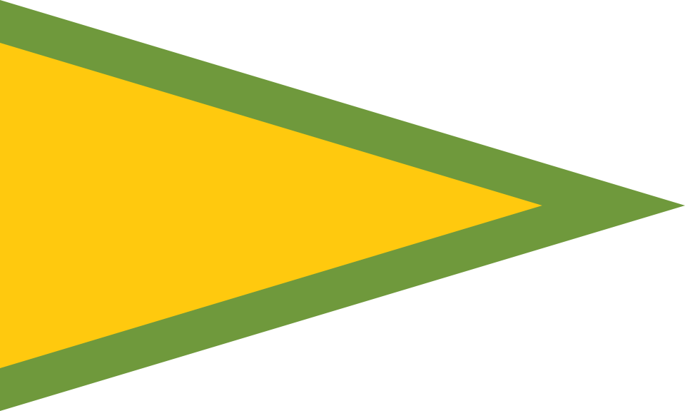 Free flags (saving flags) - Image 1