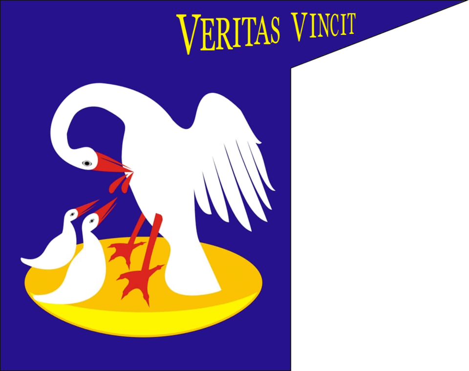 Free flags (saving flags) - Image 8
