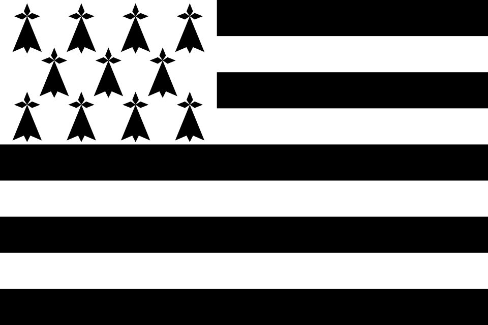 Free flags (saving flags) - Image 3