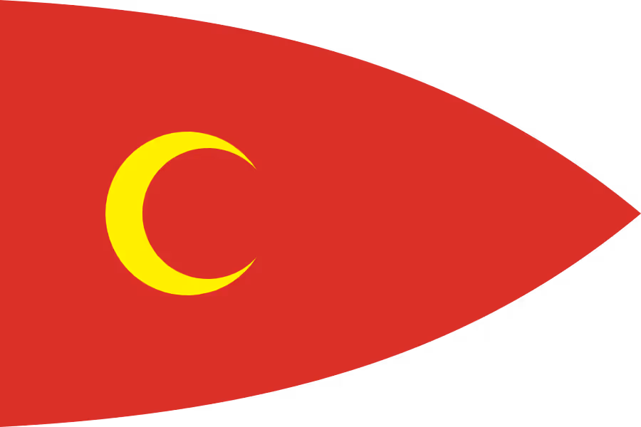 Free flags (saving flags)