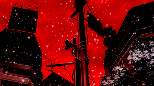 Red - Image 2
