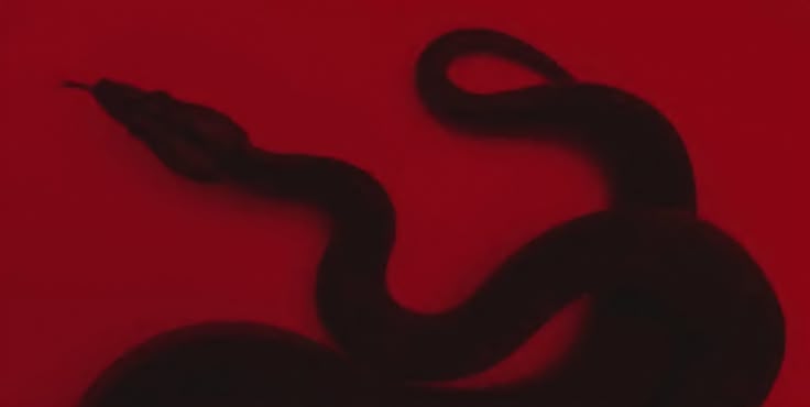 Red - Image 3