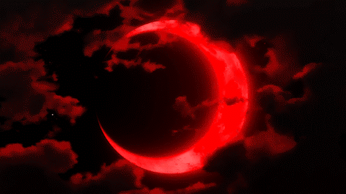 Red - Image 5