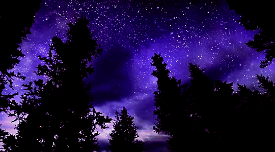 Purple - Image 2