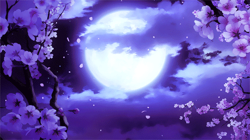 Purple - Image 3