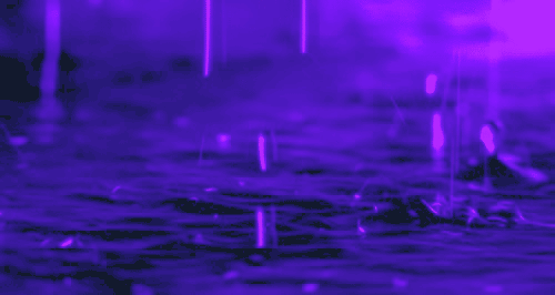 Purple - Image 5
