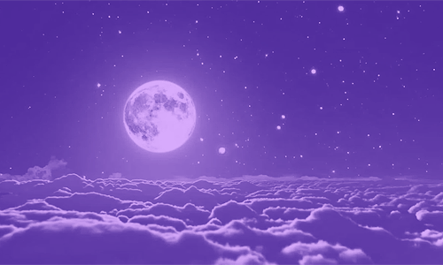 Purple - Image 6