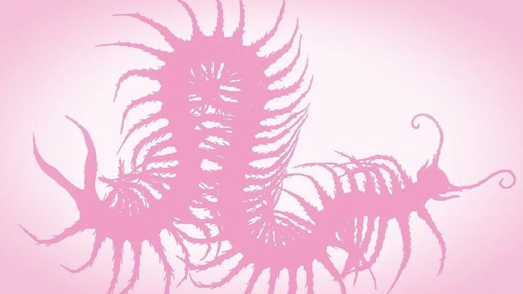 Pink - Image 3