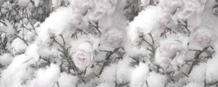 White - Image 5