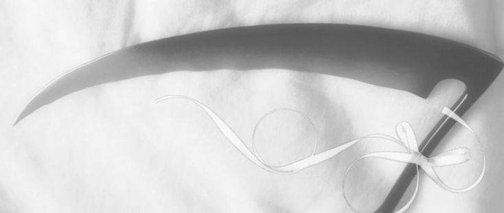 White - Image 8