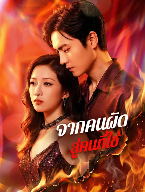 โปสเตอร์ จากคนผิด สู่คนที่ใช่(พากย์เสียง)