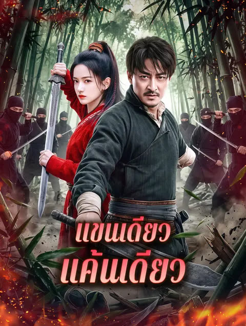 โปสเตอร์ แขนเดียว แค้นเดียว(พากย์เสียง)