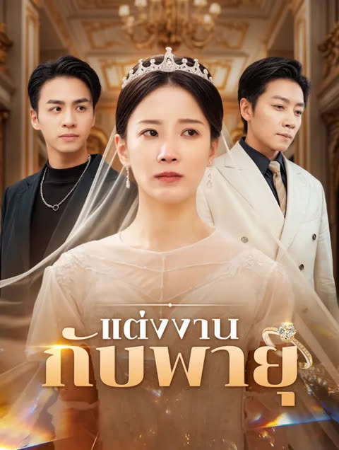 โปสเตอร์ แต่งงานกับพายุ(พากย์เสียง)