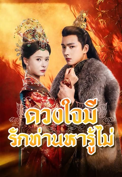 โปสเตอร์ (พากย์)ดวงใจมีรักท่านหารู้ไม่