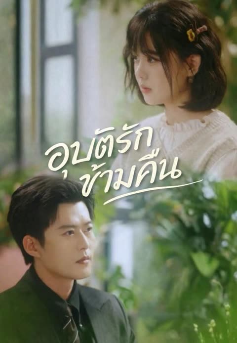 โปสเตอร์ (พากย์)อุบัติรักข้ามคืน