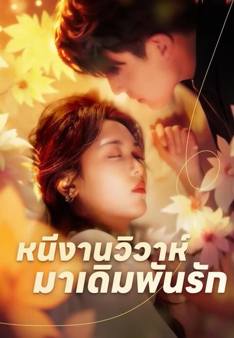 โปสเตอร์ (พากย์)เจ้าสาวหนีวิวาห์