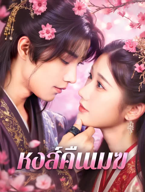 โปสเตอร์ หงส์คืนเมฆ(พากย์เสียง)