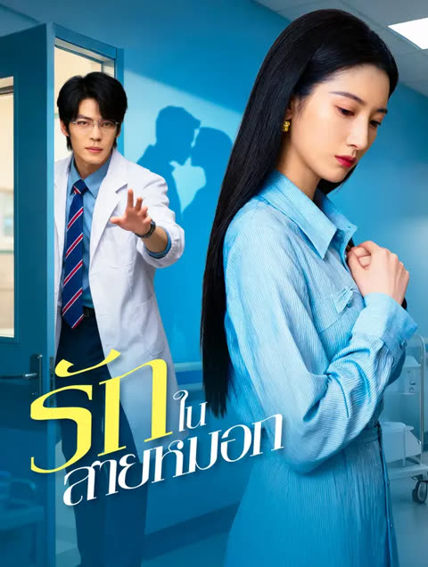 โปสเตอร์ รักในสายหมอก(พากย์เสียง)