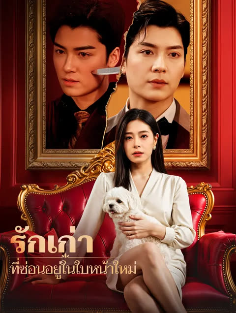 โปสเตอร์ รักเก่าที่ซ่อนอยู่ในใบหน้าใหม่(พากย์เสียง)