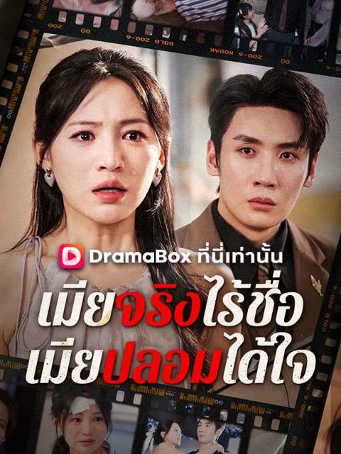 โปสเตอร์ เมียจริงไร้ชื่อ เมียปลอมได้ใจ(พากย์ไทย)