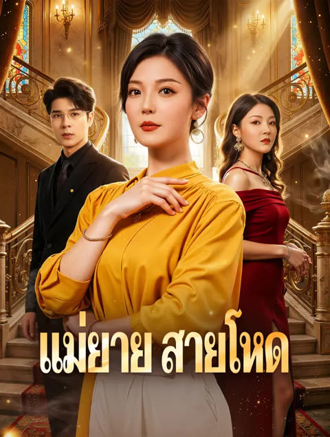 โปสเตอร์ แม่ยาย สายโหด(พากย์เสียง)