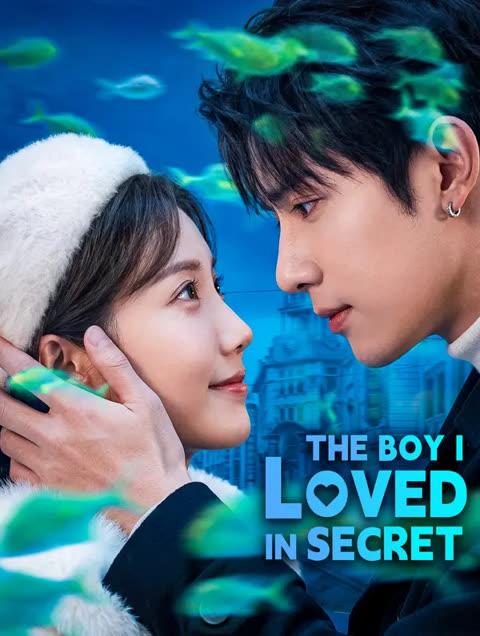 โปสเตอร์ รักซ่อนในใจ(พากย์เสียง)
