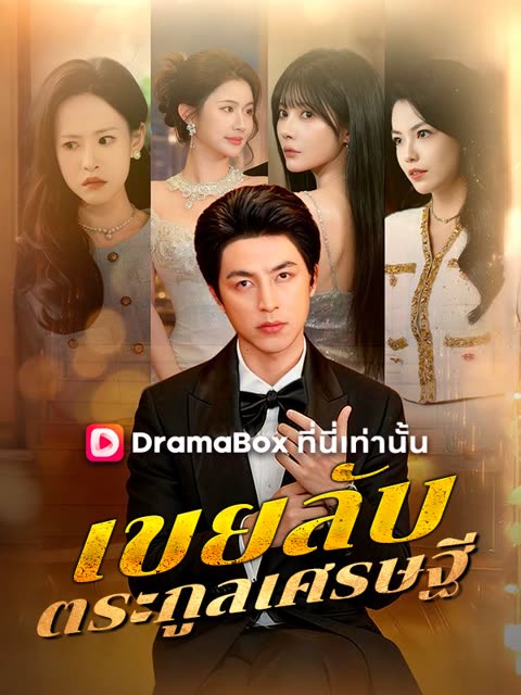 โปสเตอร์ เขยลับตระกูลเศรษฐี(พากย์ไทย)