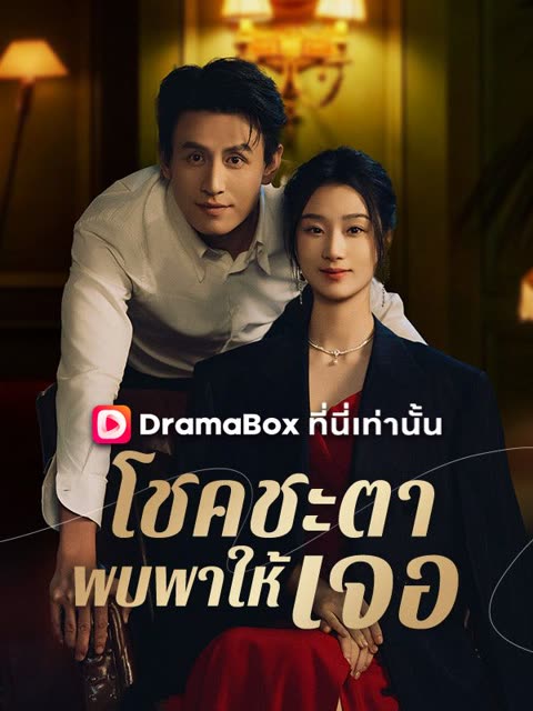 โปสเตอร์ โชคชะตาพบพาให้เจอ(พากย์ไทย)