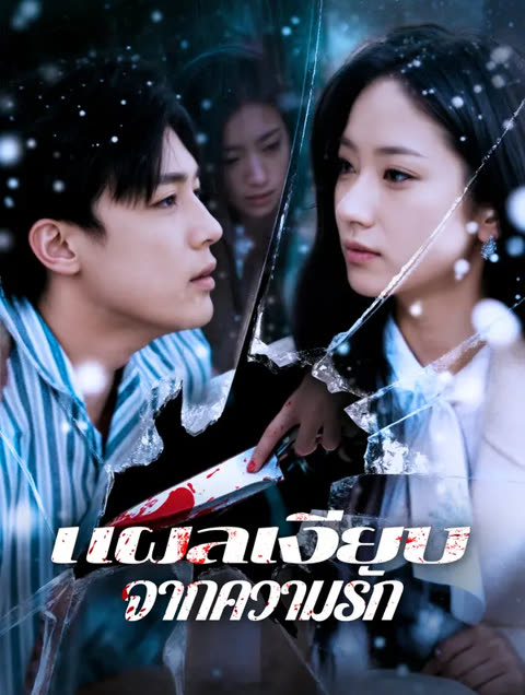 โปสเตอร์ แผลเงียบจากความรัก(พากย์เสียง)