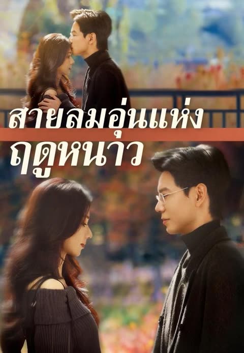 โปสเตอร์ (พากย์)สายลมอุ่นแห่งฤดูหนาว