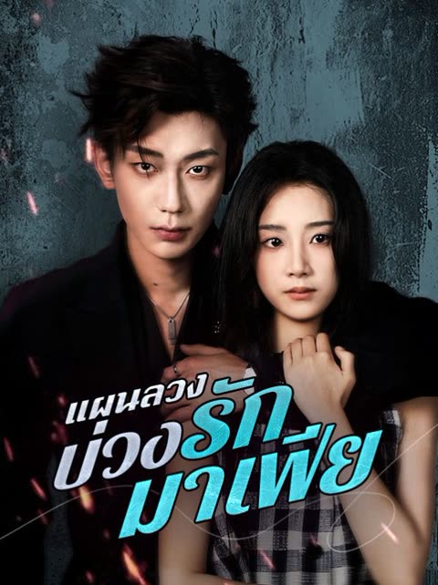 โปสเตอร์ แผนลวงบ่วงรักมาเฟีย(พากย์ไทย)