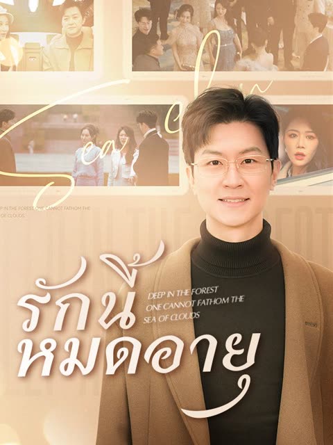 โปสเตอร์ รักนี้หมดอายุ(พากย์ไทย)