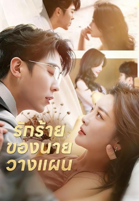โปสเตอร์ (พากย์)รักร้ายของนายวางแผน