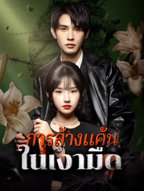 โปสเตอร์ การล้างแค้นในเงามืด(พากย์เสียง)