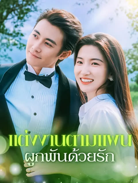 โปสเตอร์ แต่งงานตามแผน ผูกพันด้วยรัก(พากย์เสียง)