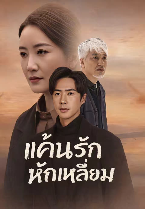 โปสเตอร์ (พากย์)แค้นรักหักเหลี่ยม